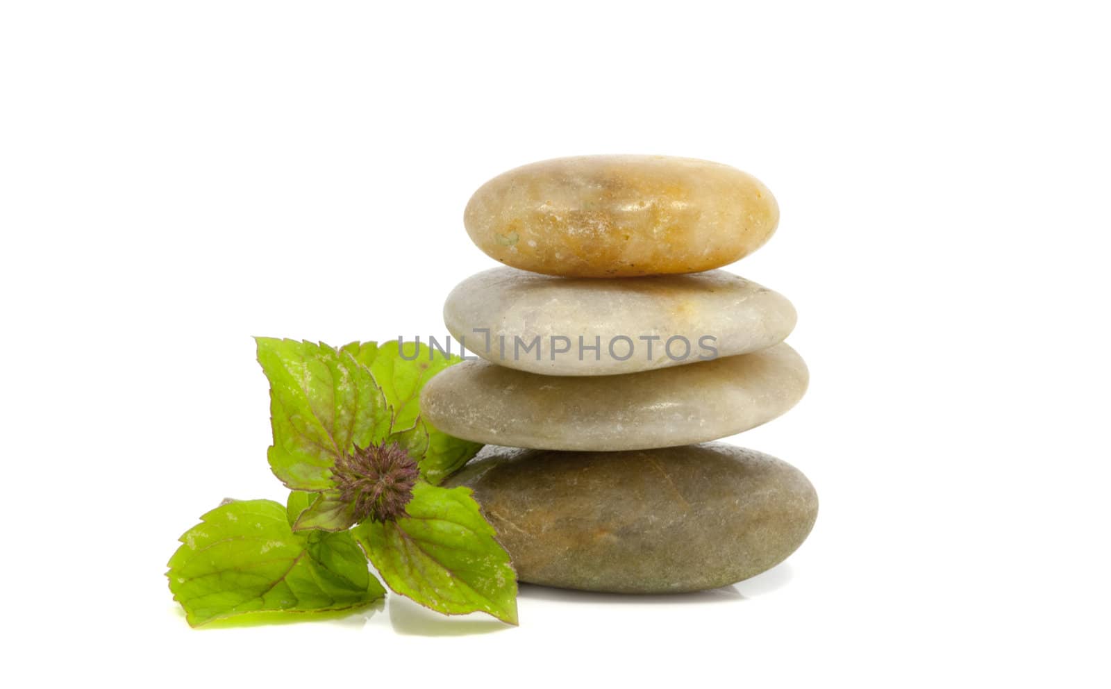 rocks with mint by compuinfoto