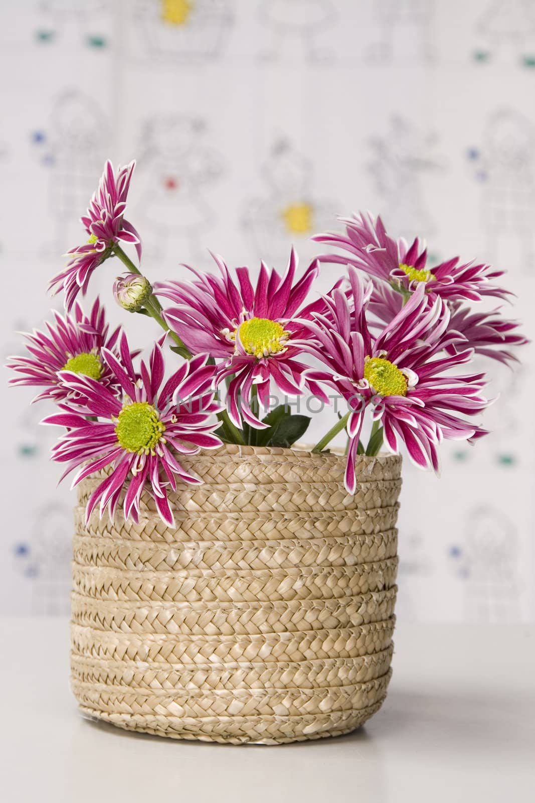 Bouquet of fresh wild red flowers