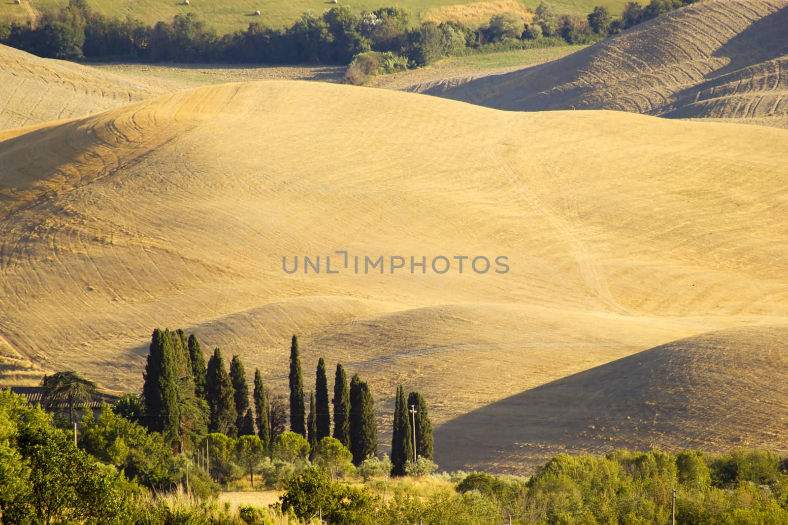 Tuscany hills in summer, Italy