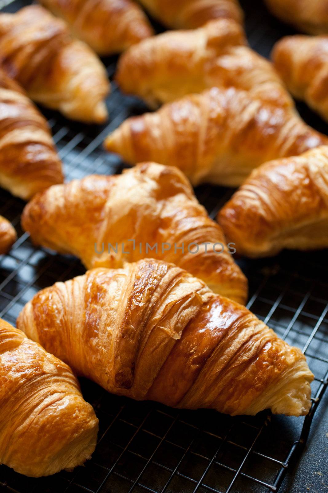 Delicious fresh croissants just out of the oven