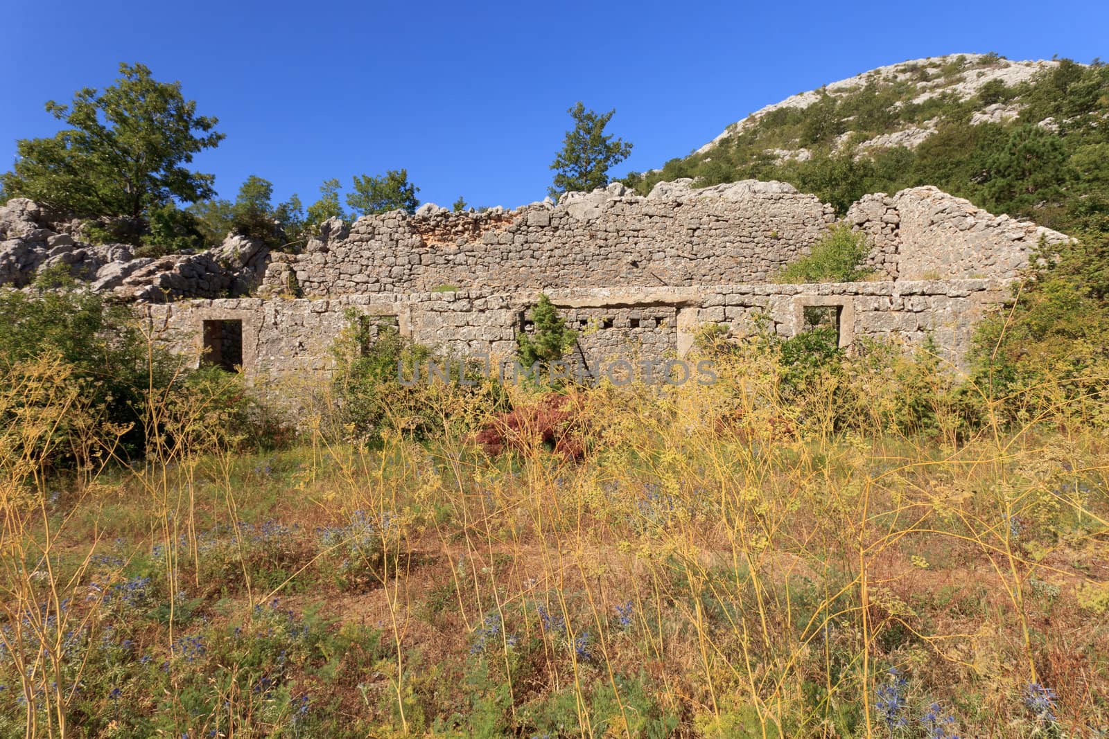 Old stone ruin overgrown with flowers and grass