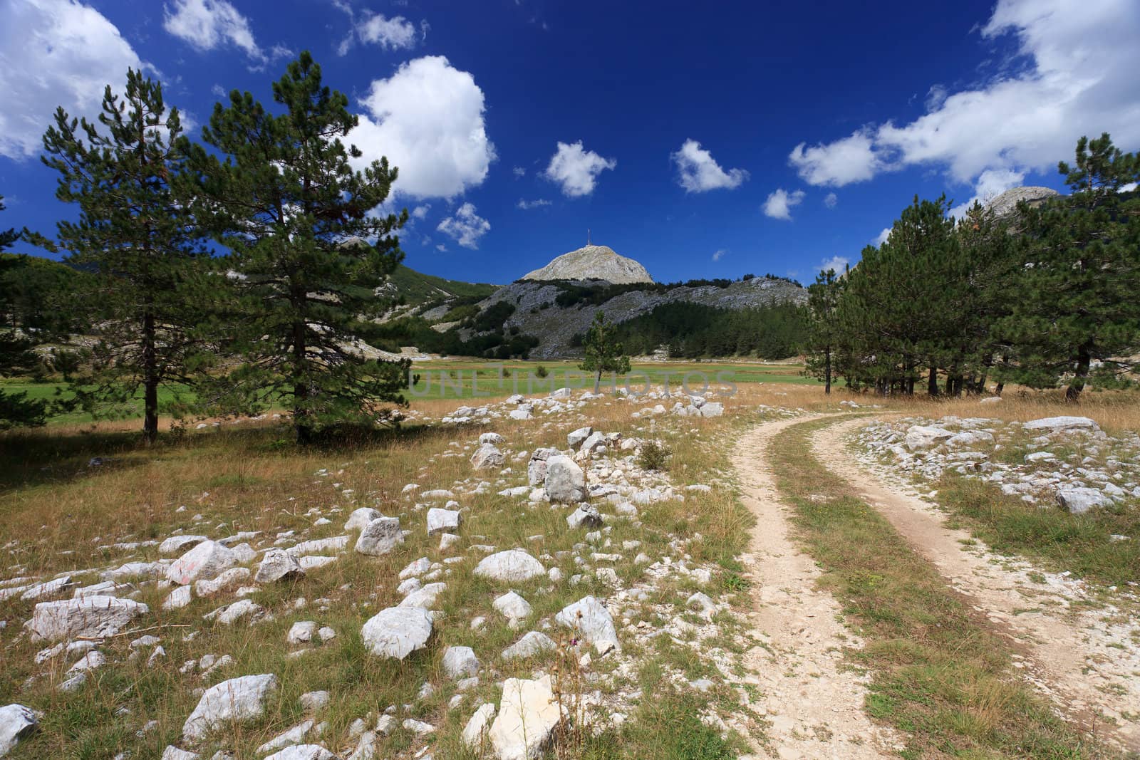 Dirt track in Lovcen National Park Montenegro