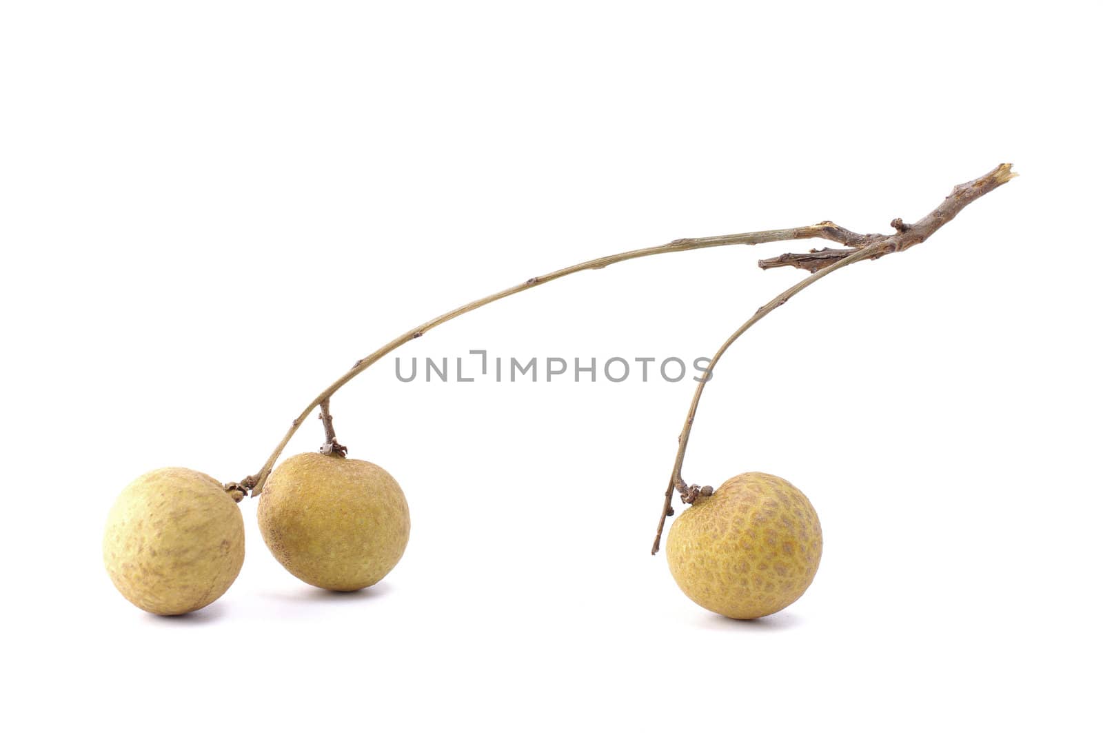 Fresh longan on the white background 