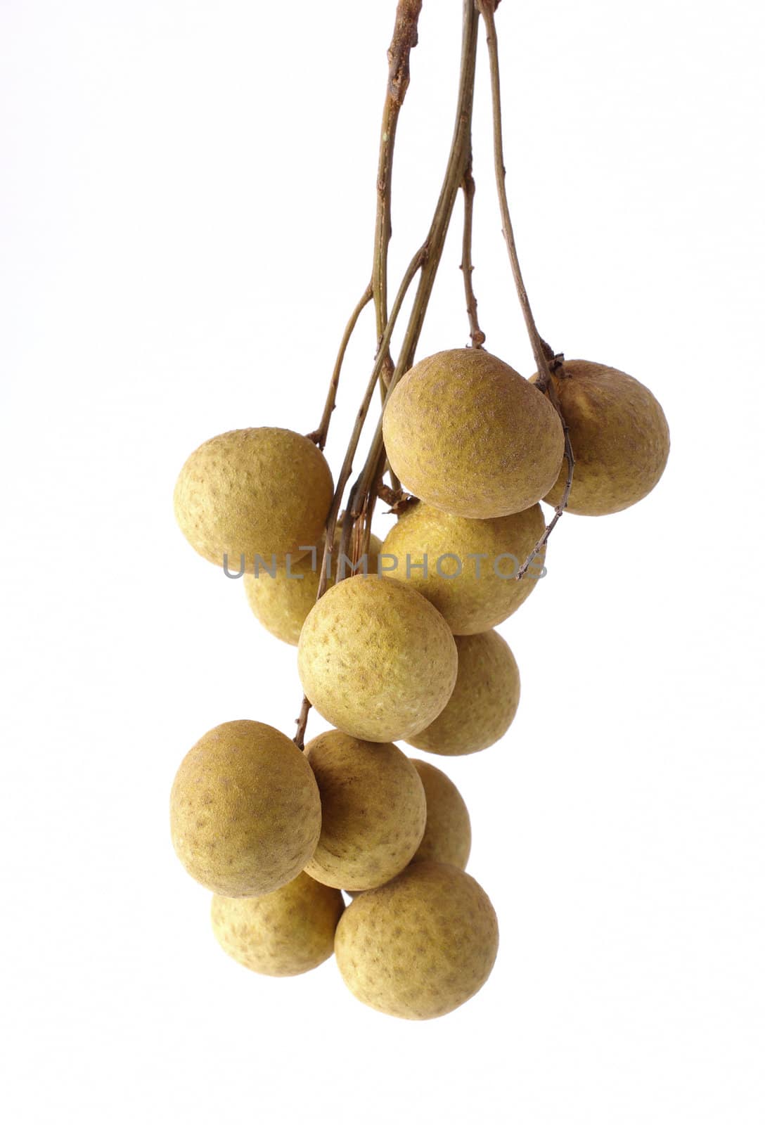 Fresh longan on the white background 