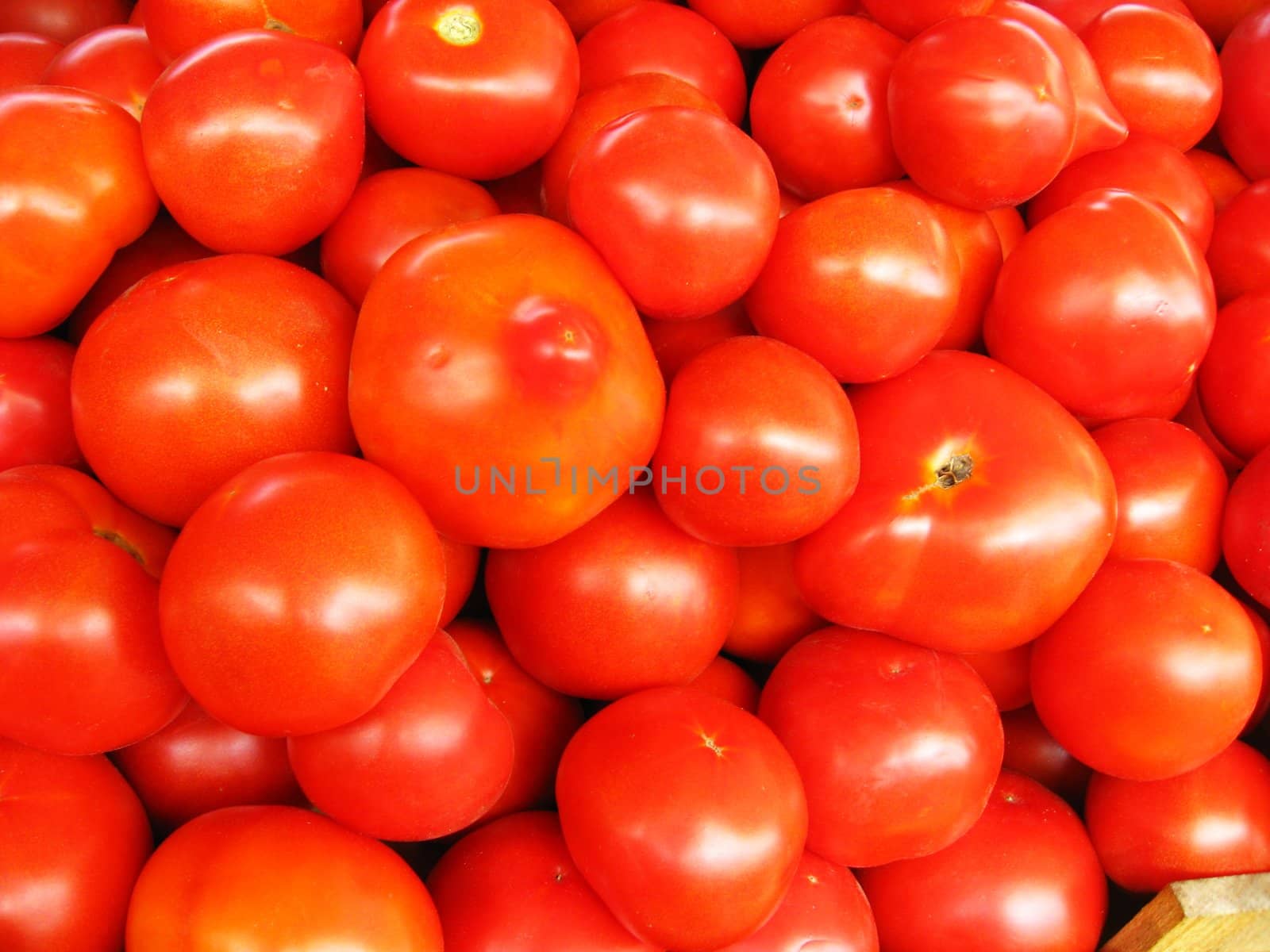 Background of red ripe tomatoes by alexmak