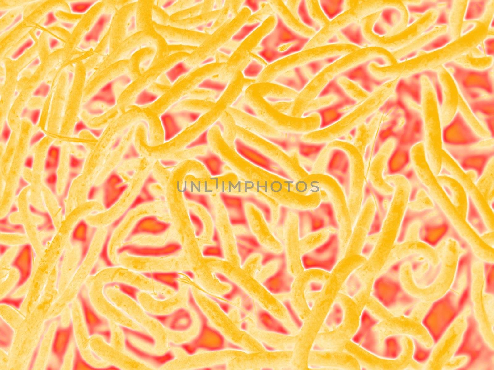 image of yellow and red background with abstract rings