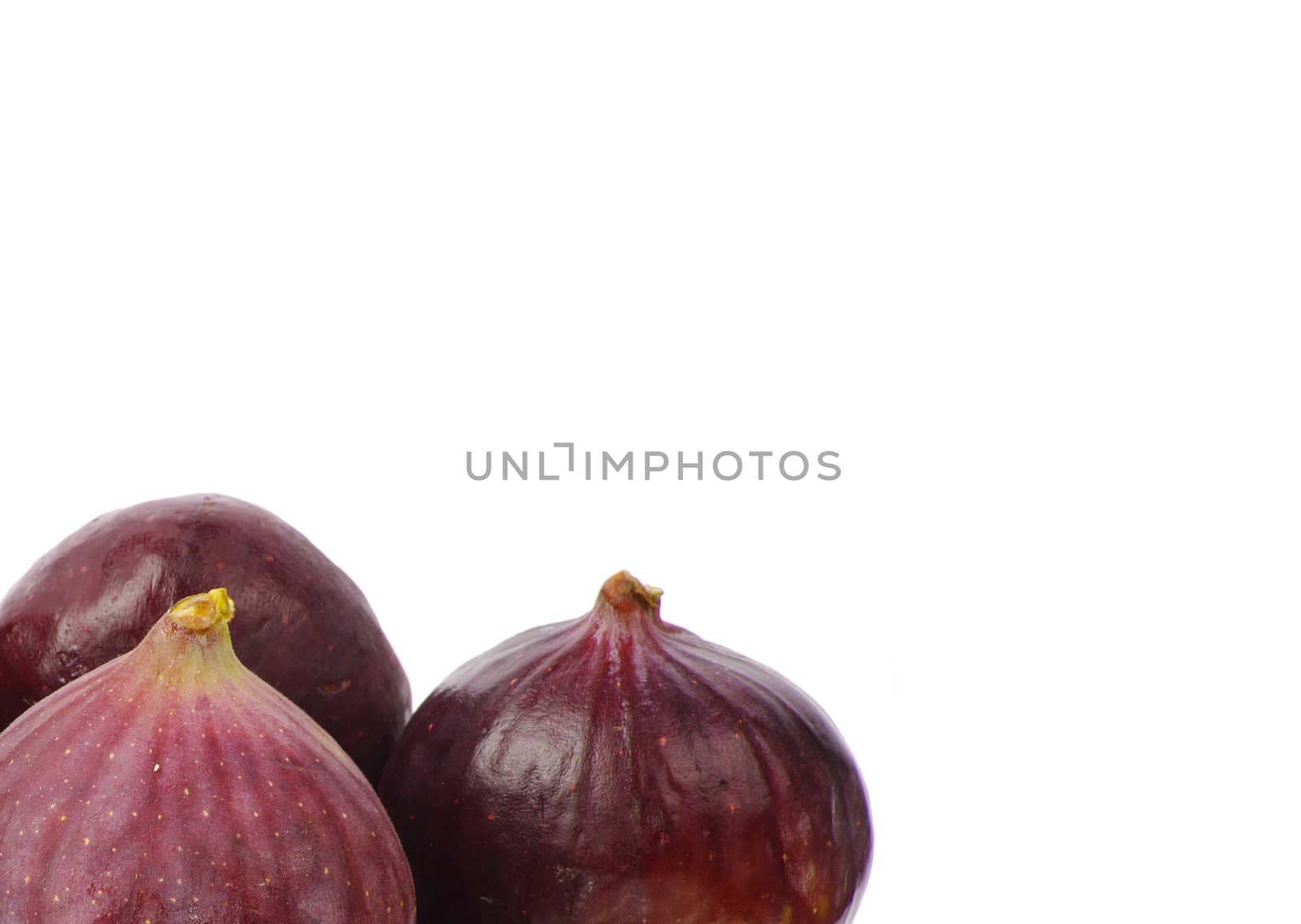 fig
