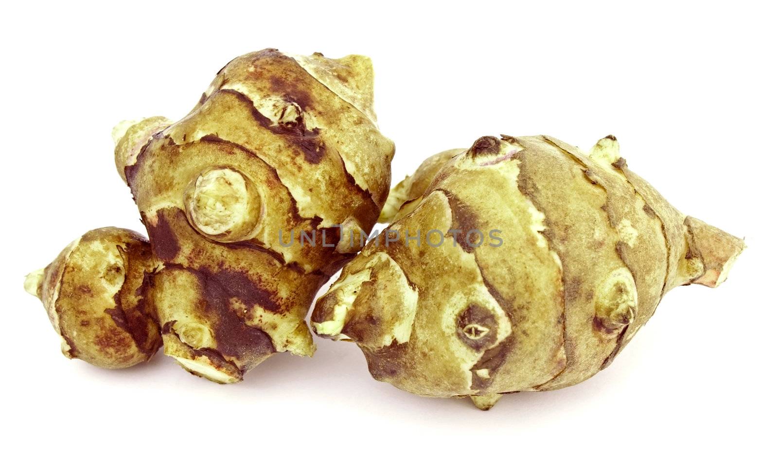Two tubers of jerusalem artichoke on white background