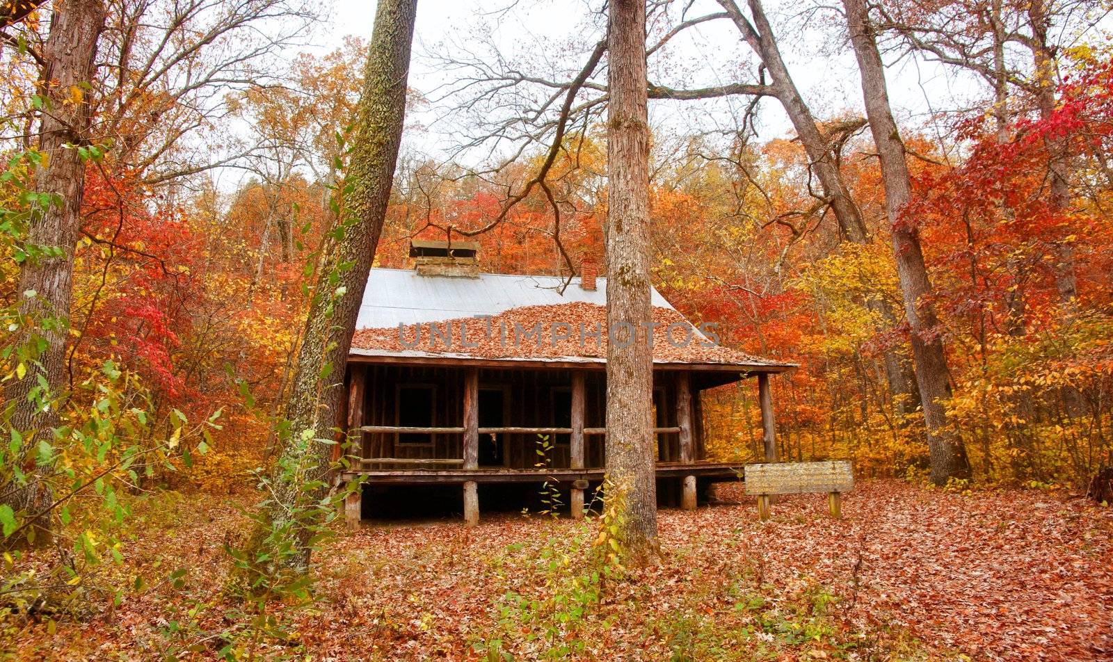 old settlers log cabin in missouri in fall