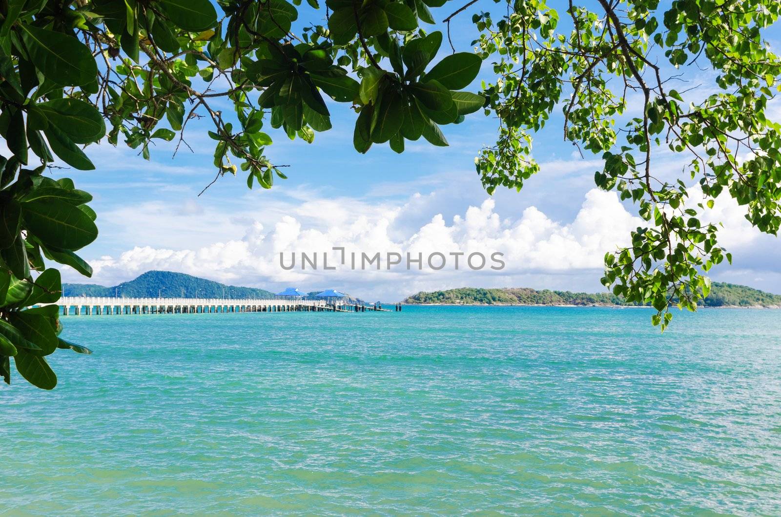 Andaman sea islands and moorage through leaves of tropical trees