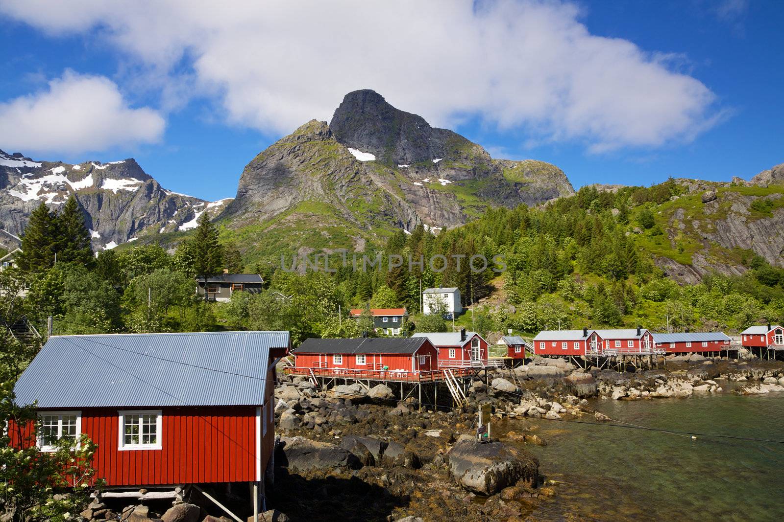 Typical red rorbu fishing huts with sod roof on Lofoten islands in Norway