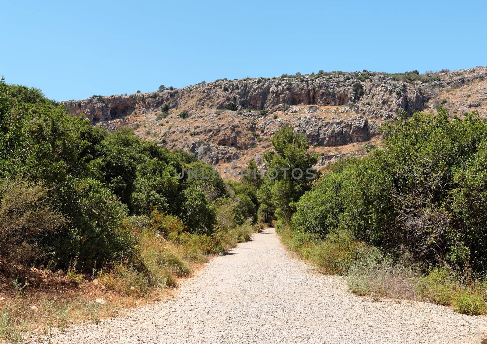 Outdoor road between two rows of bushes toward gray and orange rocks