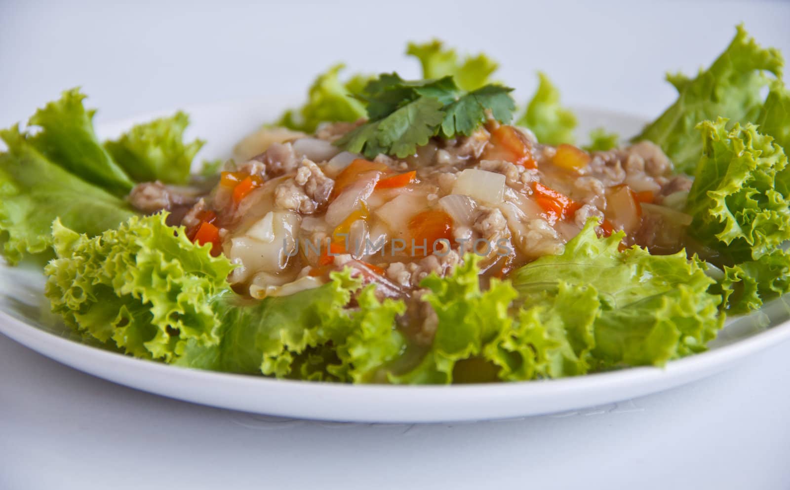 Wide Noodles in a Creamy gravy Sauce , Thai style food