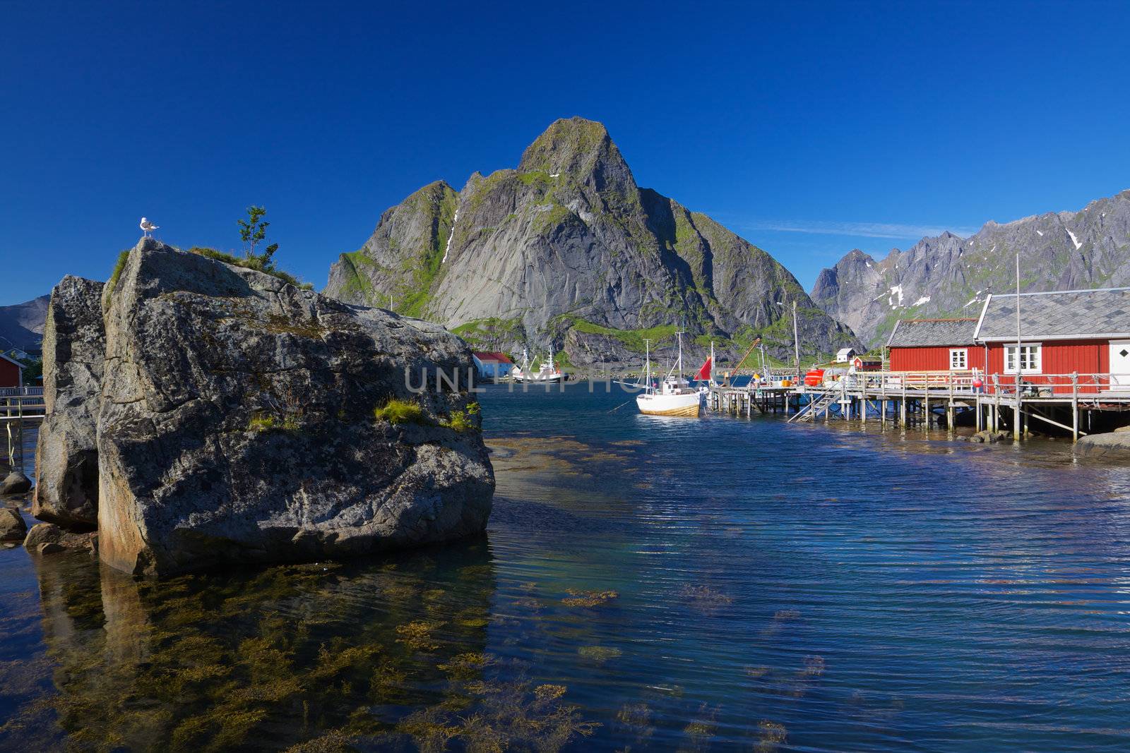 Picturesque town of Reine by the fjord on Lofoten islands in Norway