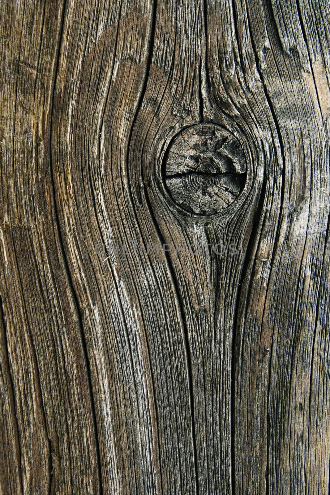 Close up of old cracked wood for background