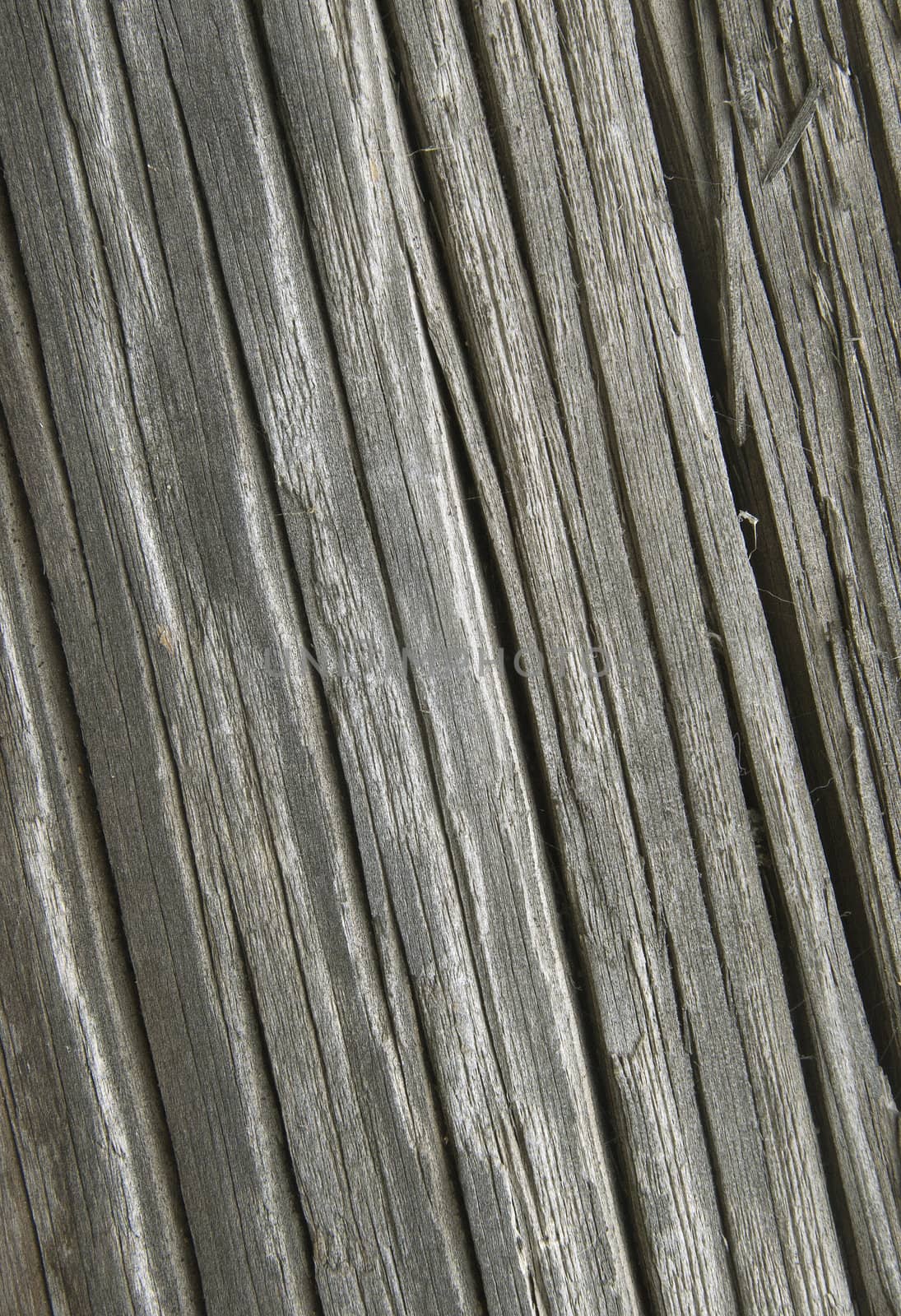 Close up of old cracked wood for background