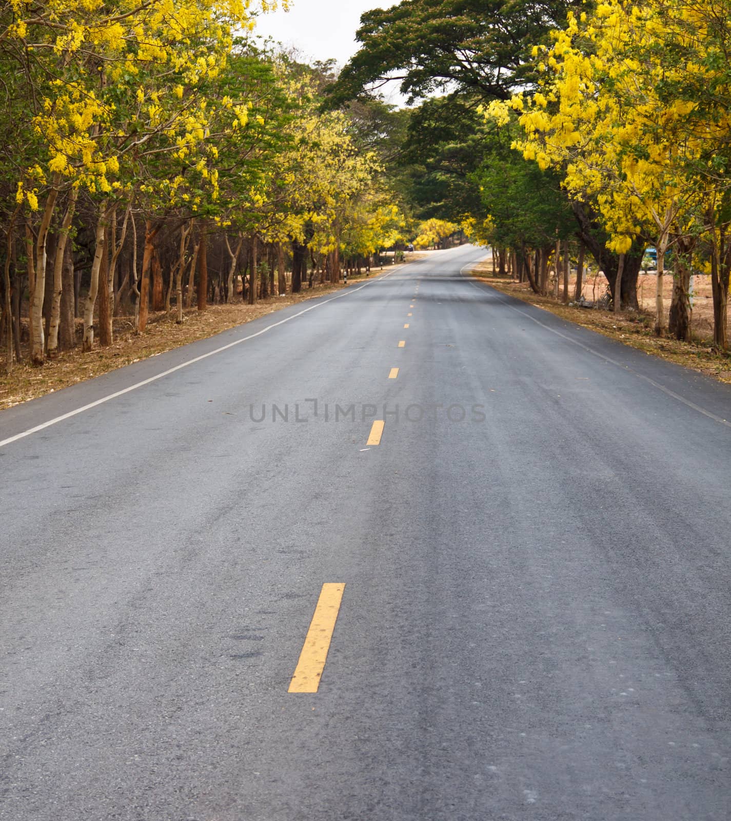Road in the beautiful countryside