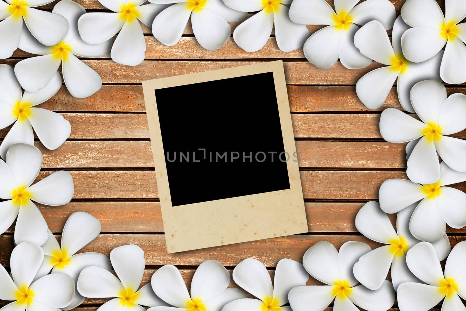 Blank photo frame on wood and flower background
