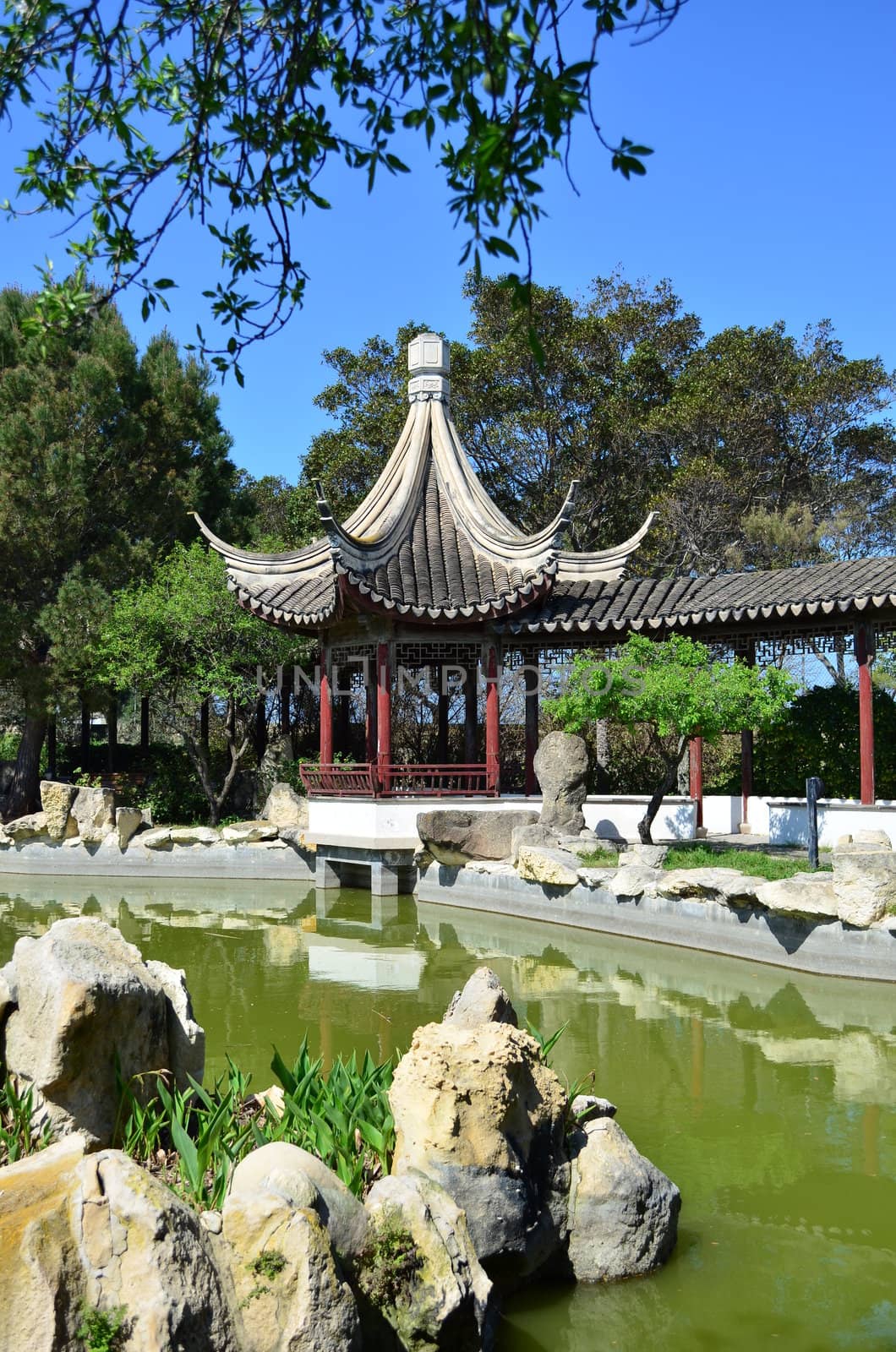 Chinese Garden in Malta