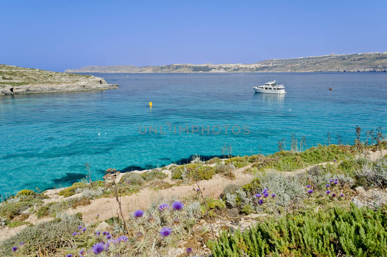 Boat in the Blue Lagoon