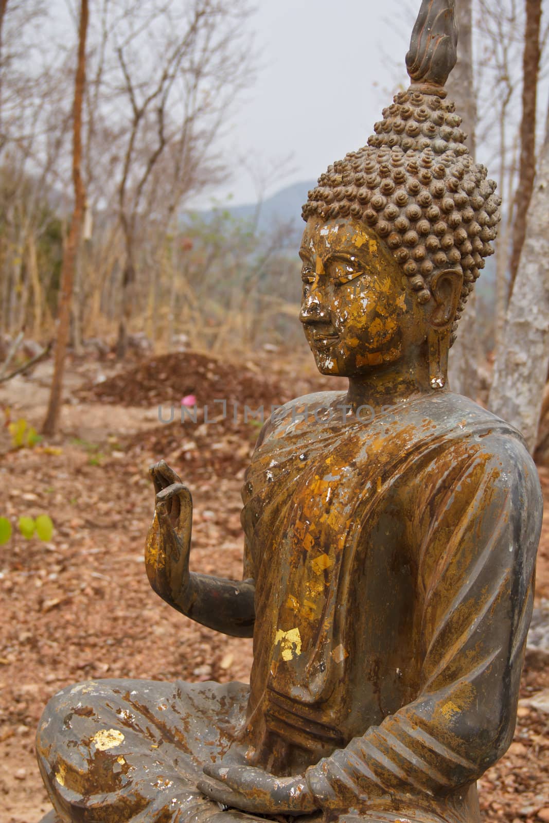 Ancient Buddha in Thailand, beautiful