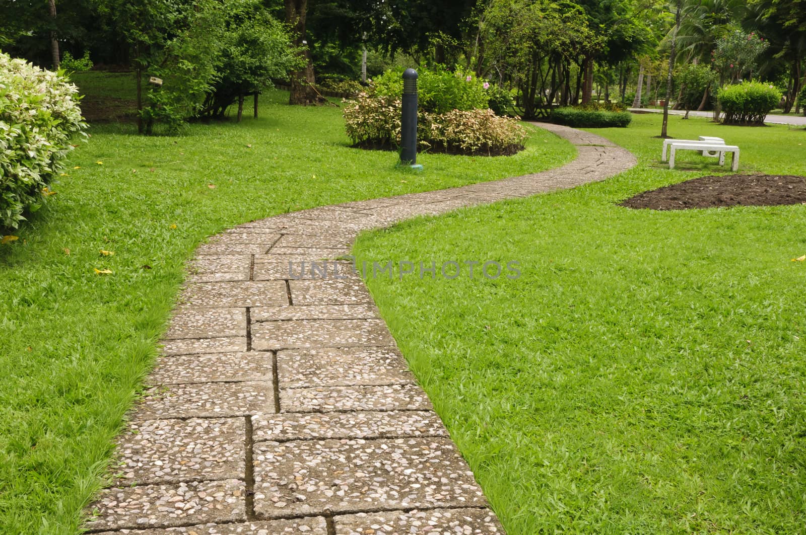 The folding pathway of a park in Samut songkhram.