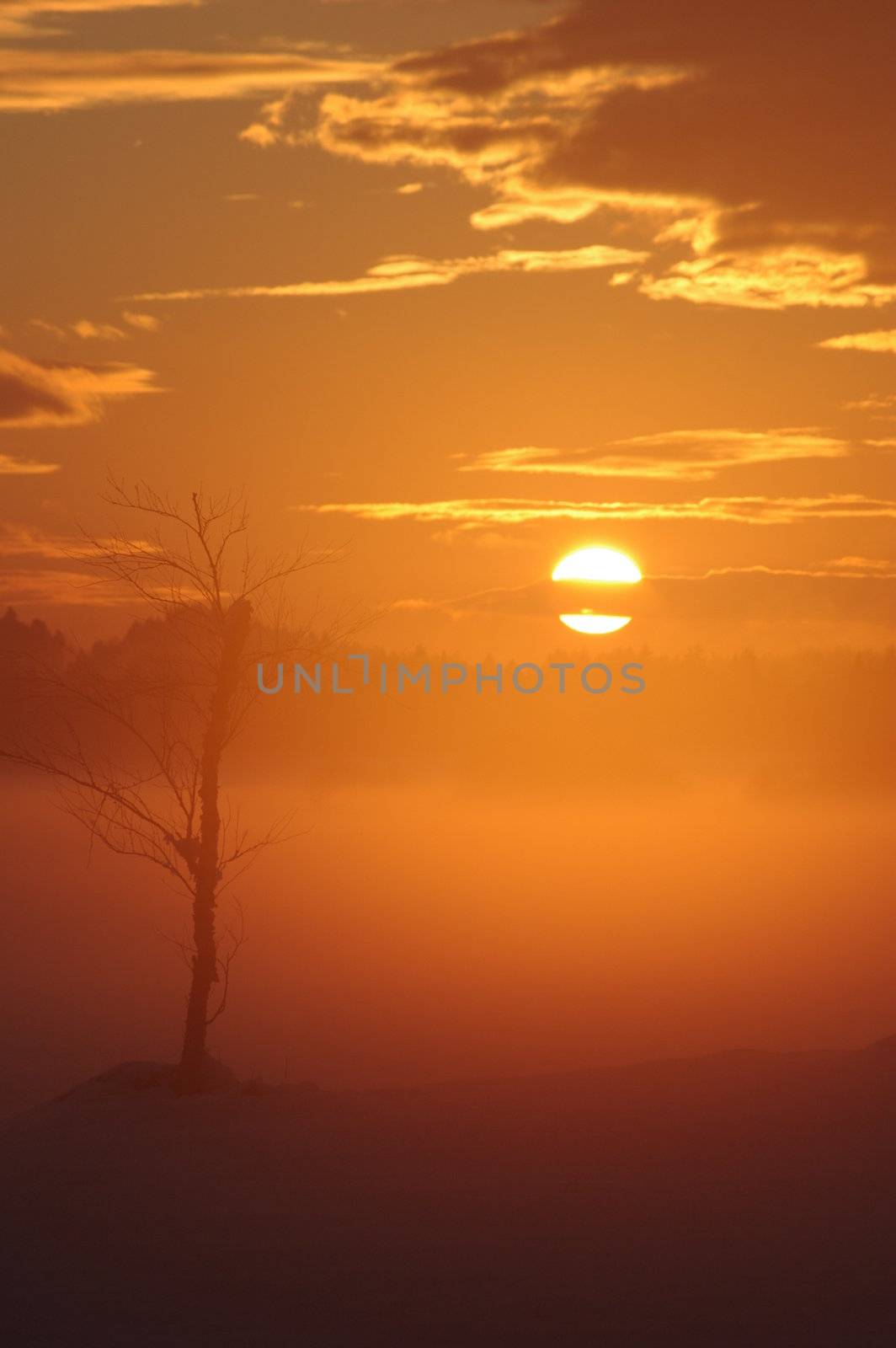 a romantic misty winter golden orange sunset