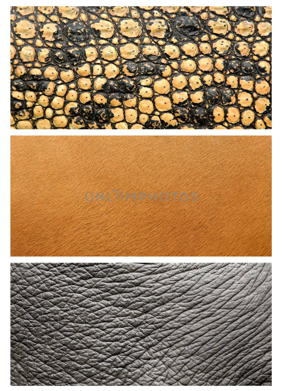 3 style animal skin