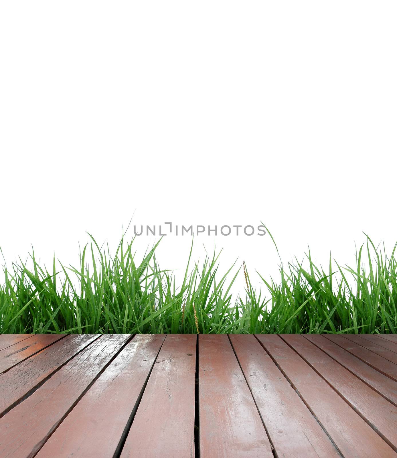 wooden terrace on white background