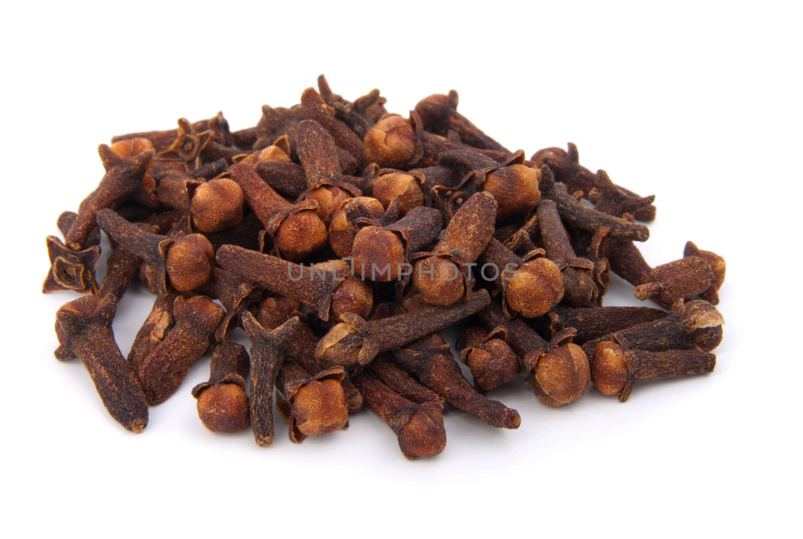 cloves against white background
