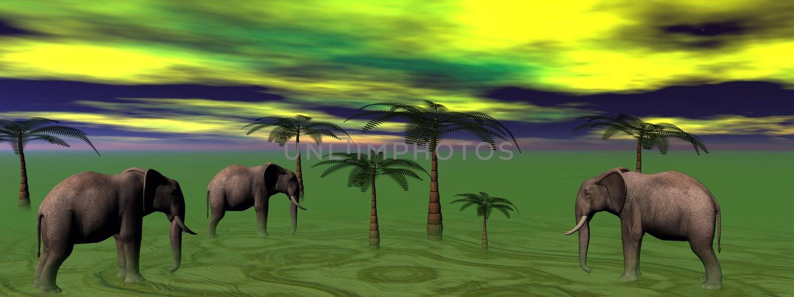 elephants and palms 