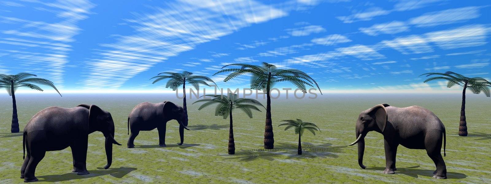 elephants and palms and sky blue