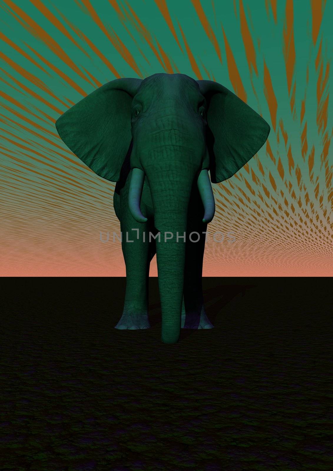 elephant and sky