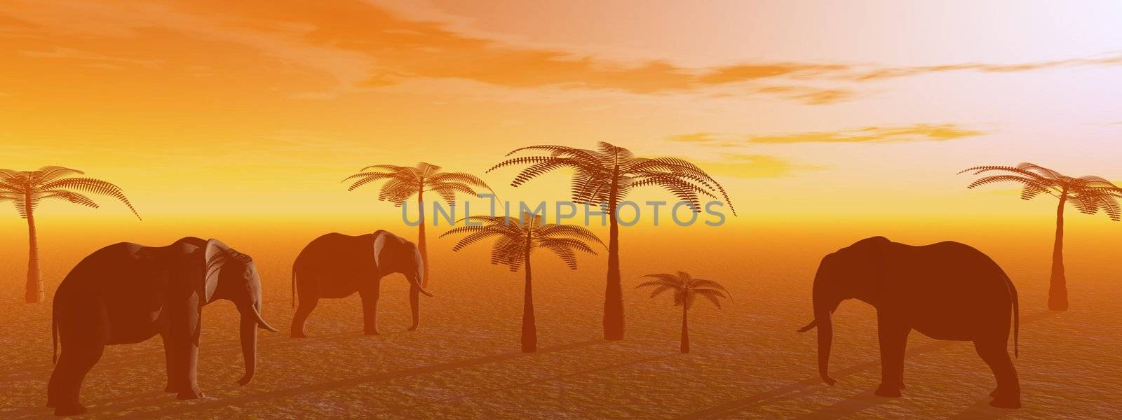 elephants and sunrise