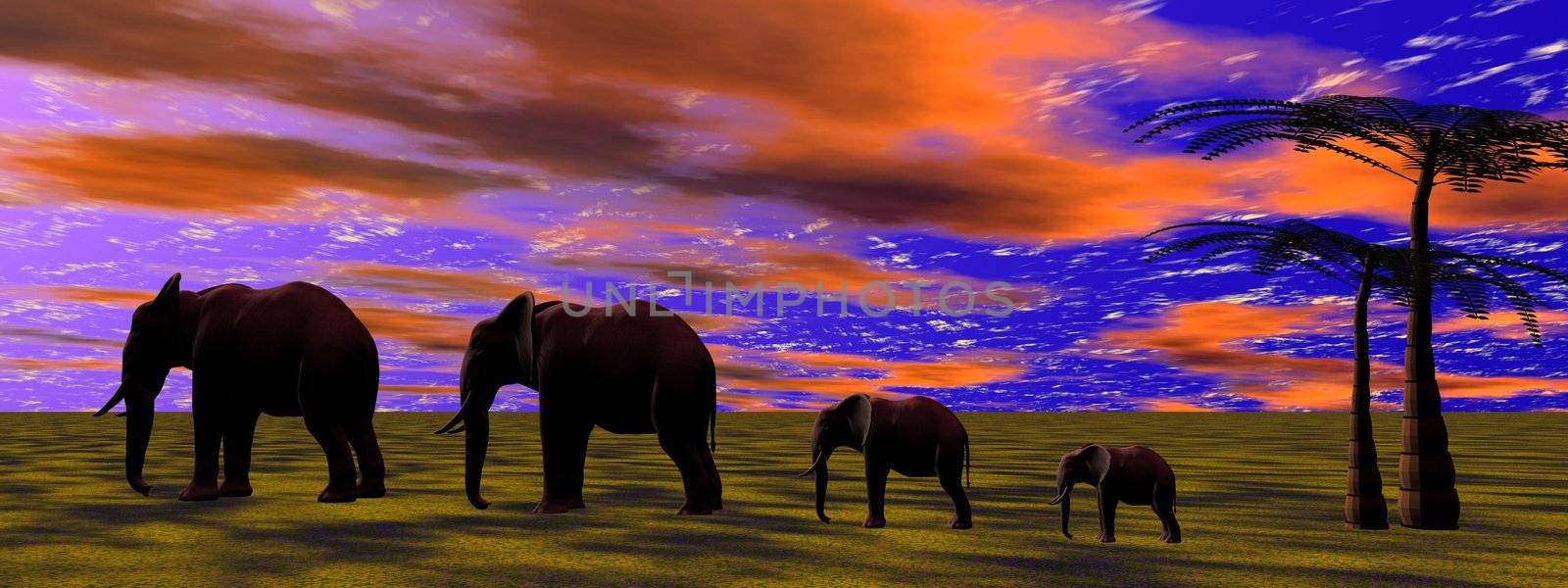 elephants and sky orange