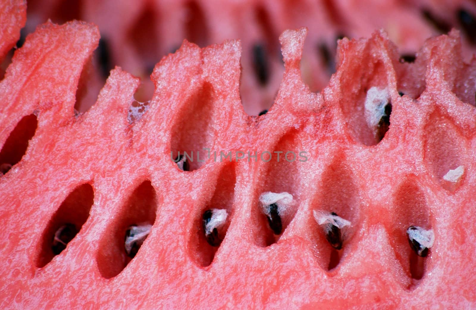fresh watermelon