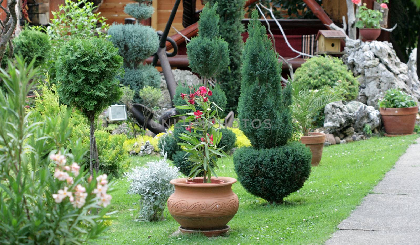 Outdoor flower pots for small garden
