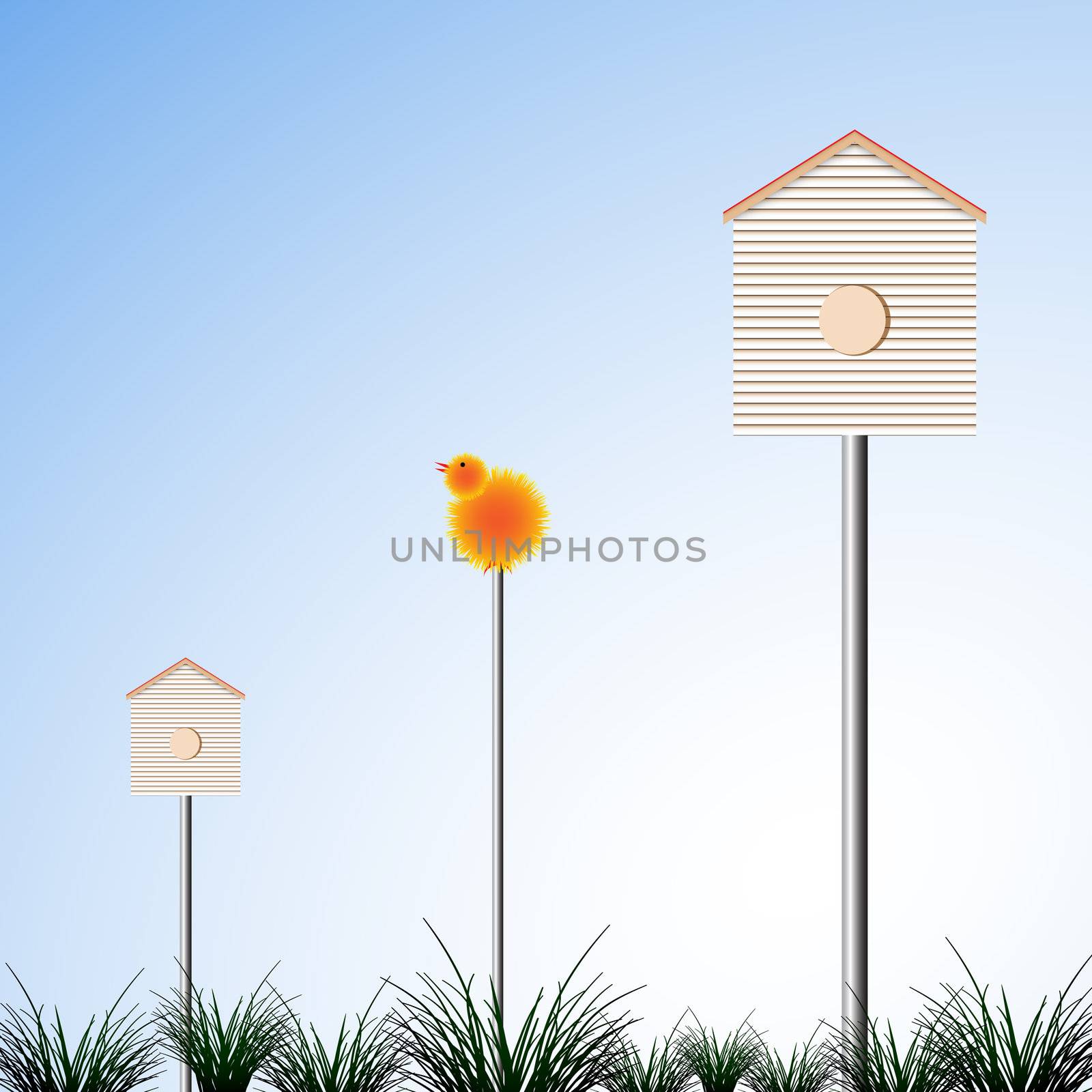 bird houses and grass, abstract vector art illustration; image contains transparency