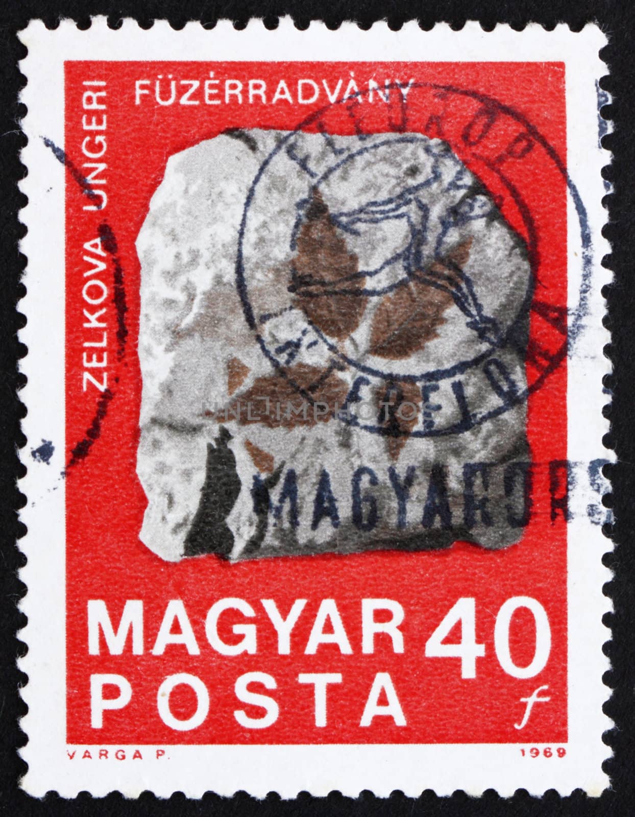 HUNGARY - CIRCA 1969: a stamp printed in the Hungary shows Fossilized Zelkova Leaves, Centenary of the Hungarian State Institute of Geology, circa 1969