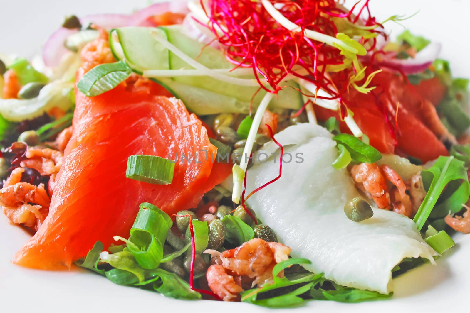 Salad with red and white fish, shrimp and herbs by NickNick