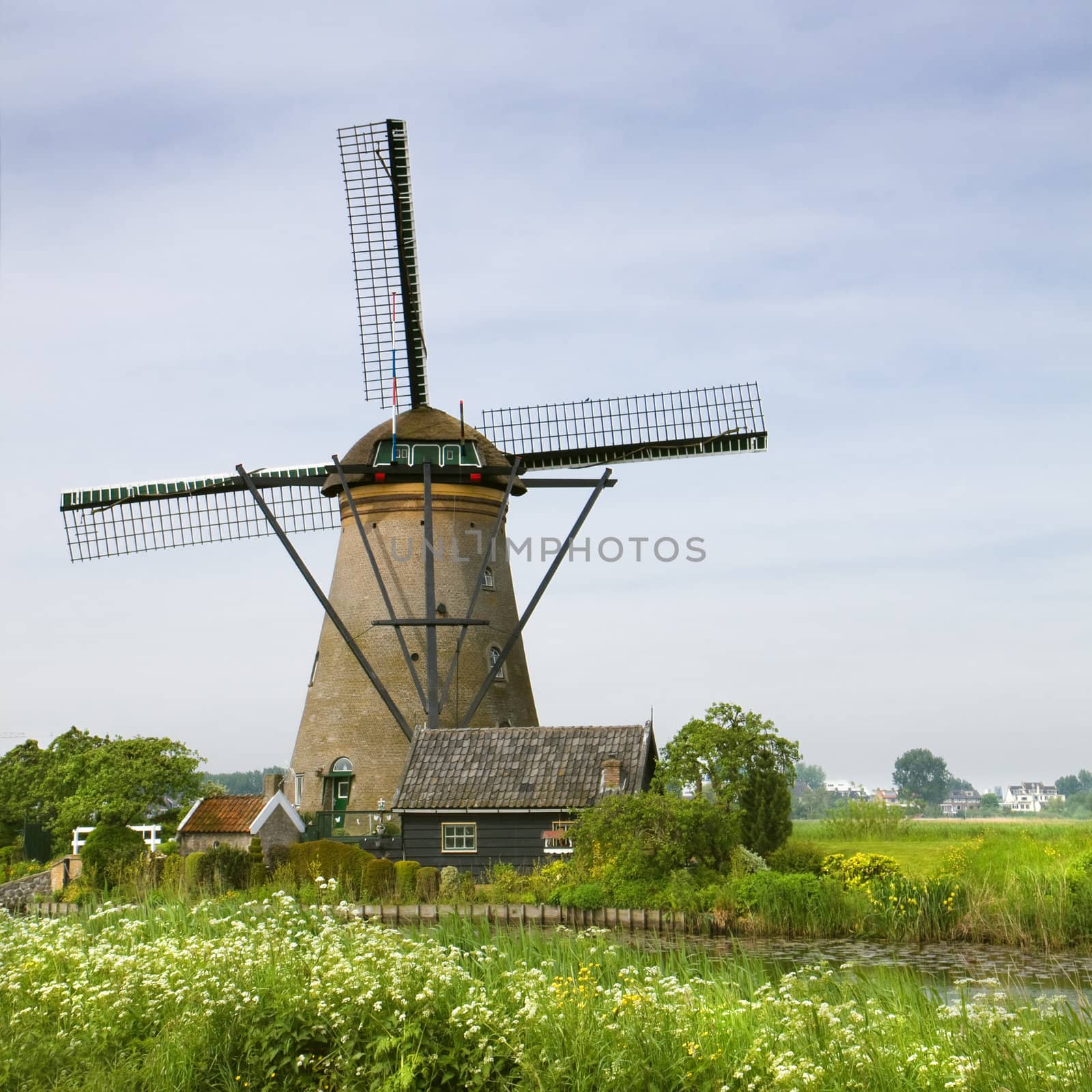 Windmill nearby Kinderdijk, the Netherlands by Colette