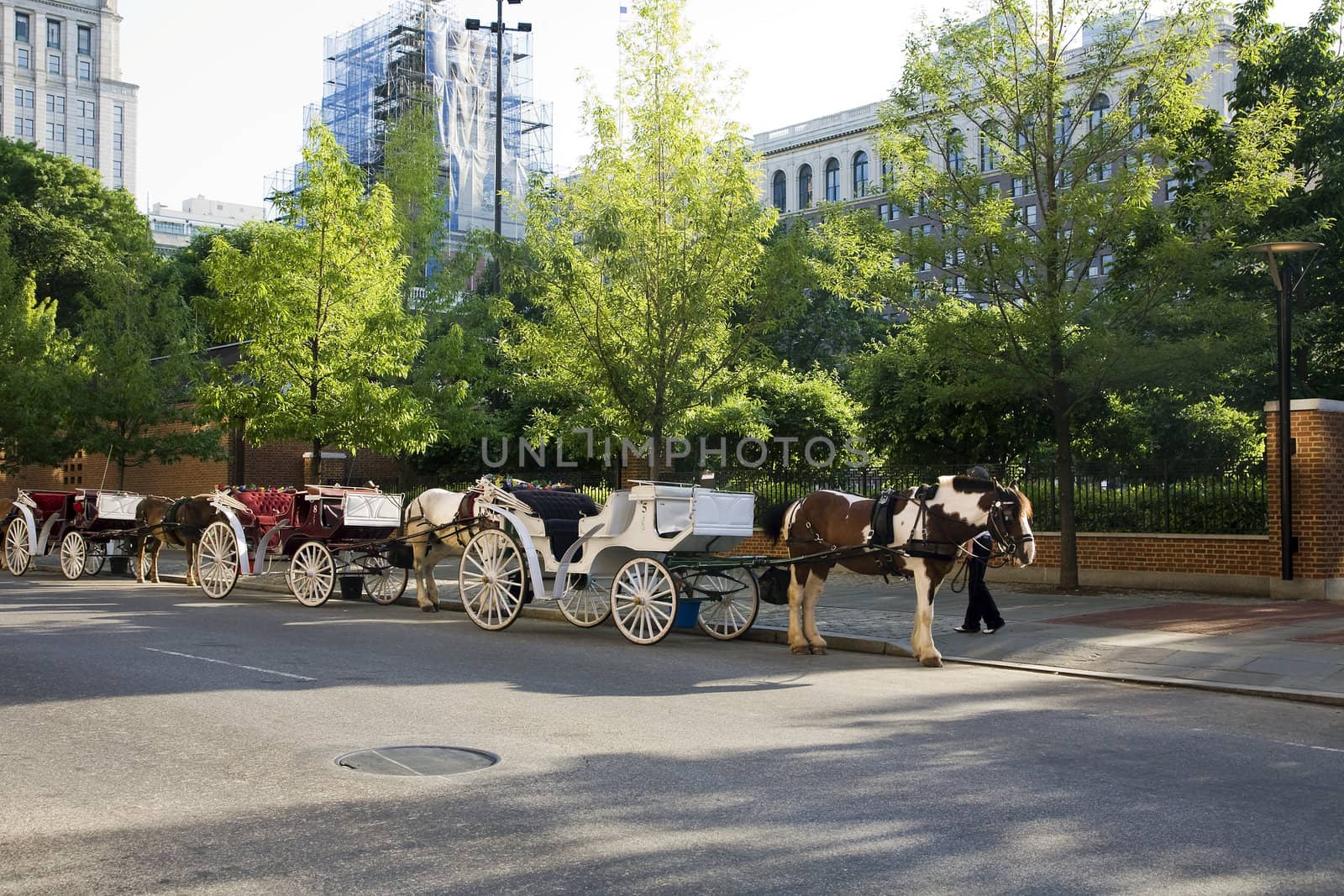 Horse drawn carriages waiting for customers in front of a park in Philadelphia.