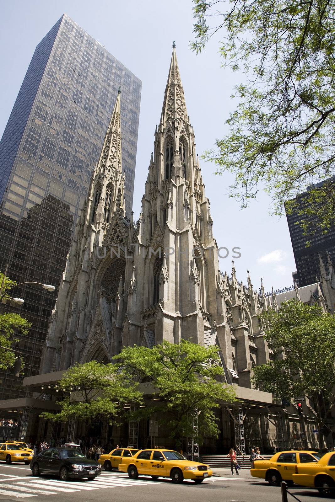 Saint Patrick's cathedral in New York.