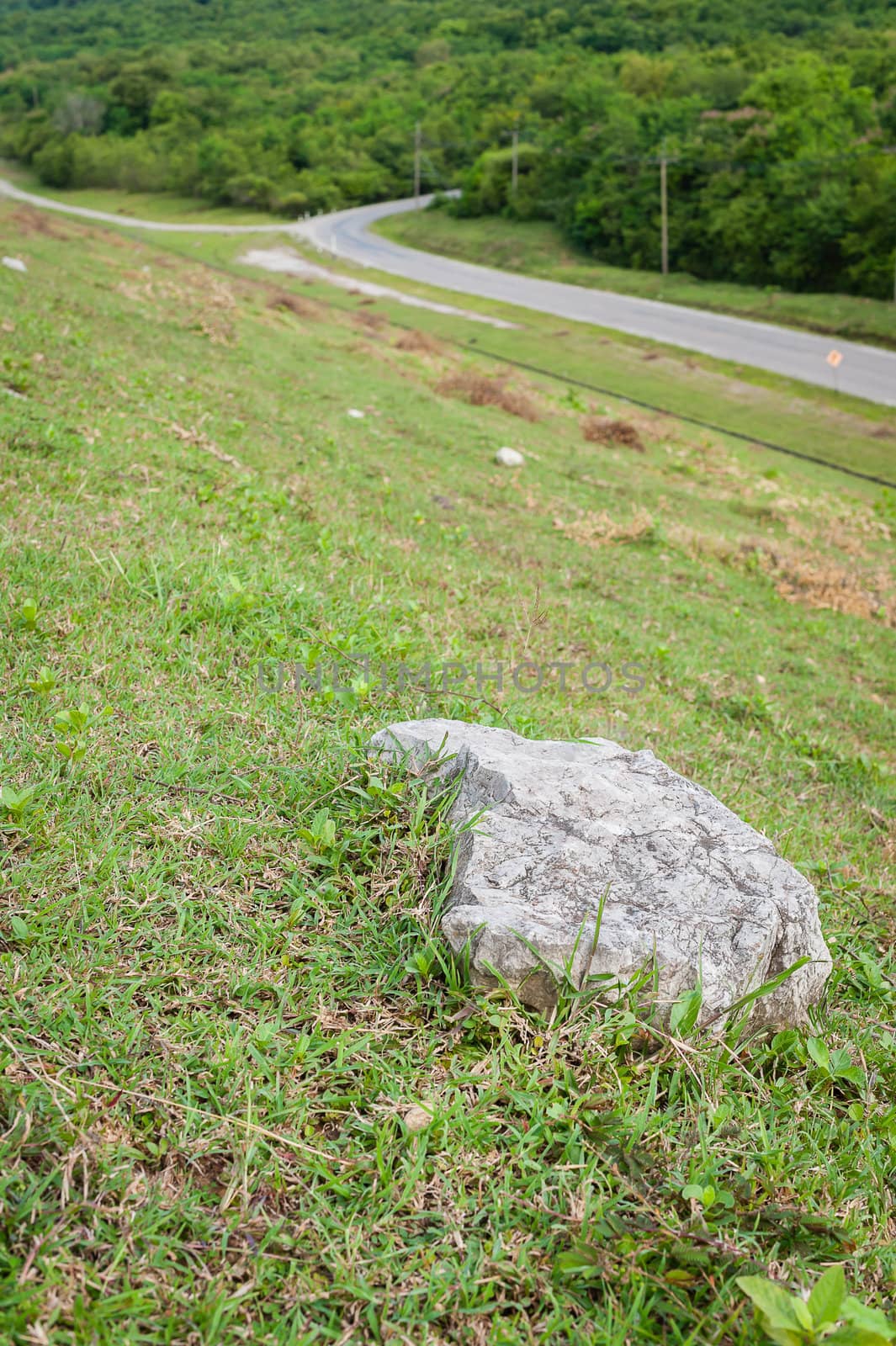 Stone on ground and green grass side of the road