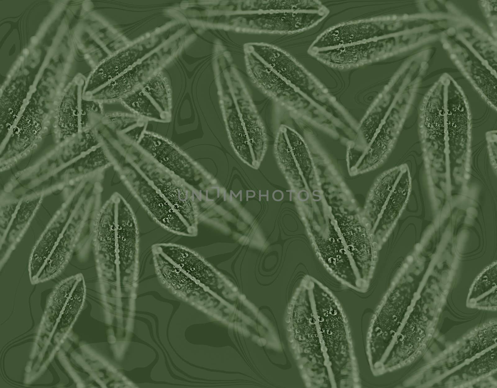 Australian gum leaf pattern on eucalyptus leafy green background wallpaper