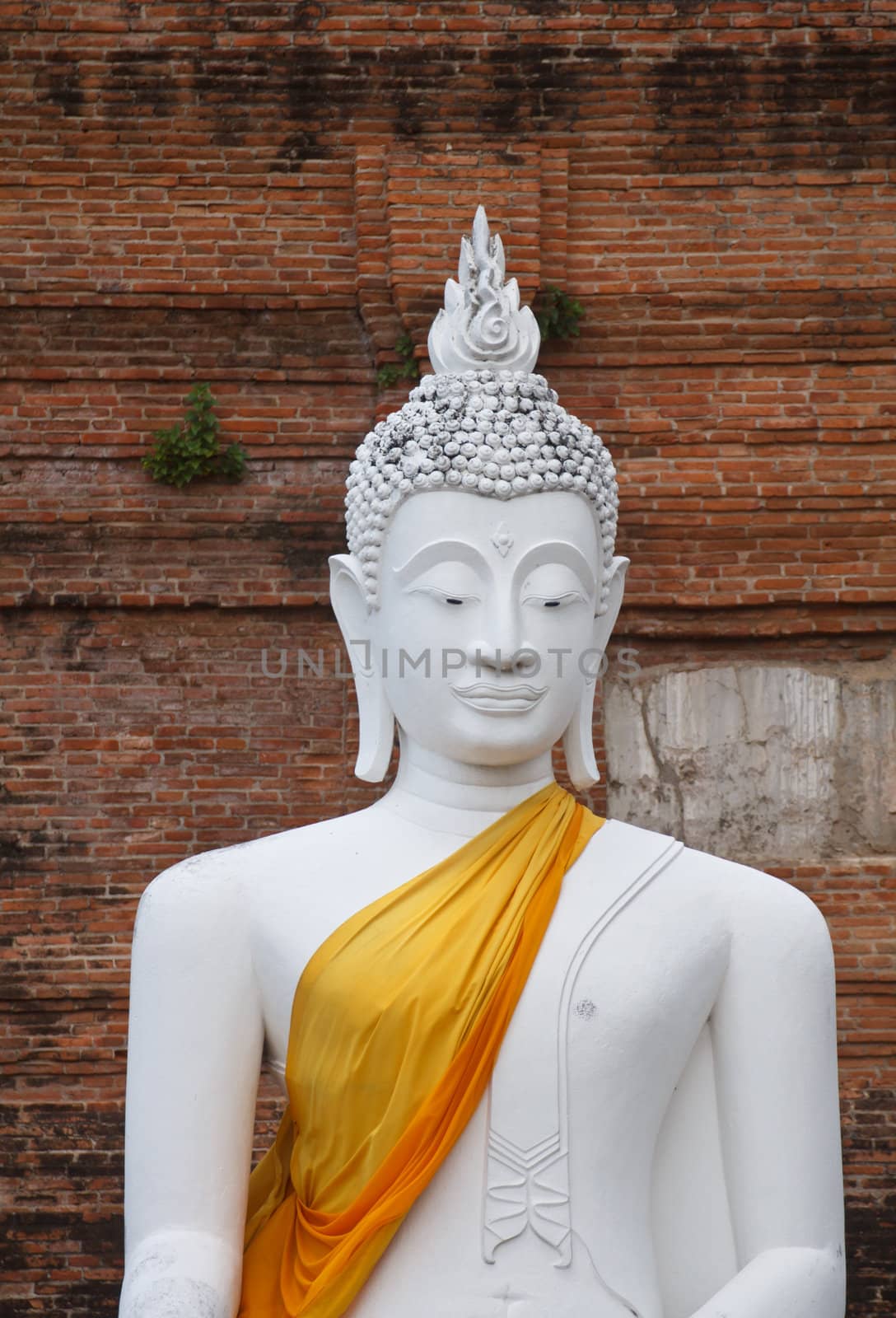 The Buddha status of wat yaichaimongkon at ayuttaya province, Thailand.
