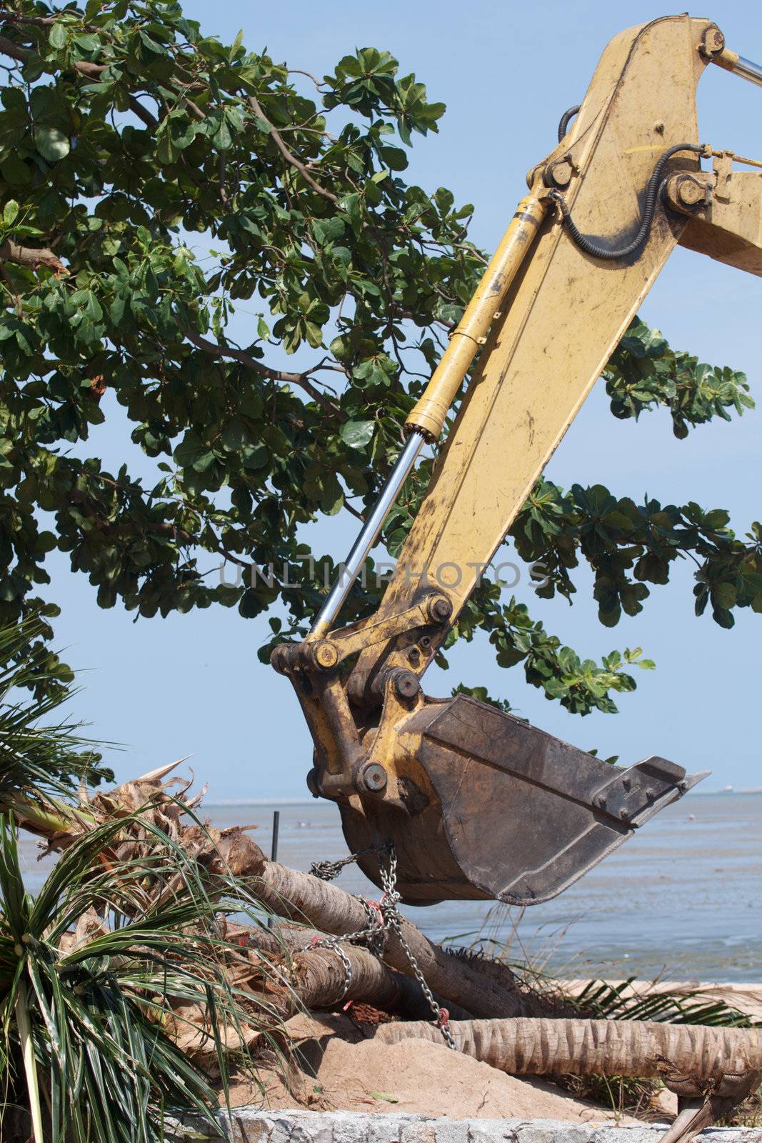 Excavators, soil and plants are working.