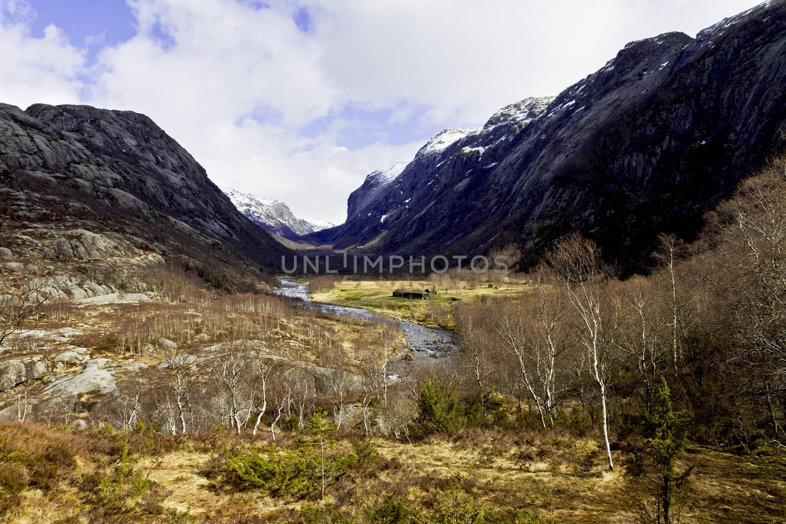 dale in the mountains of norway with river and birch trees