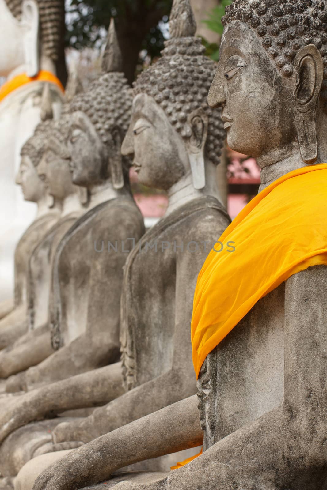Buddha statue at Wat Yai Chai Mongkol in a row Ayutthaya