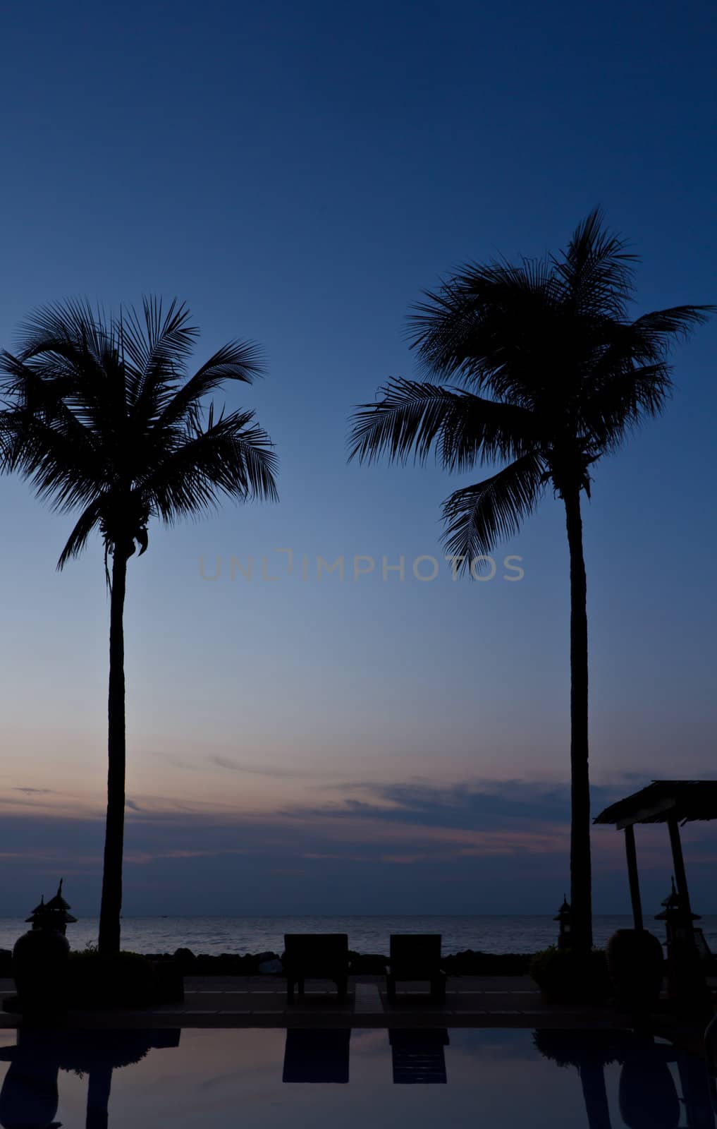 two coconut tree near swimming pool on sunset